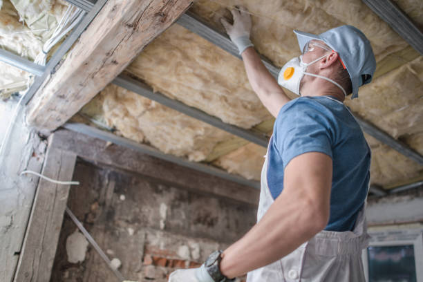Best Commercial Insulation in Northampton, MA