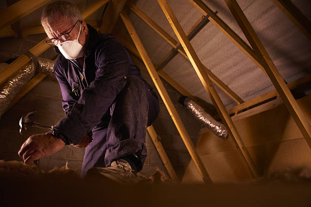 Best Residential Insulation in Northampton, MA